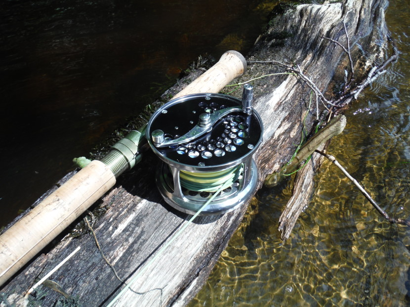 Wye salmon days
